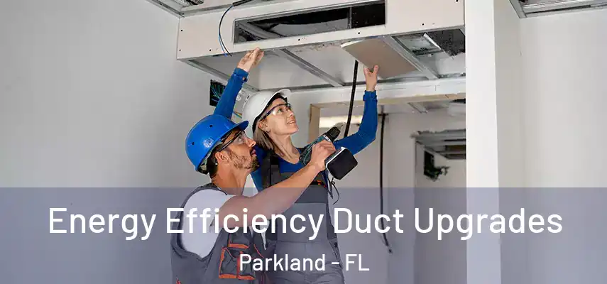  Energy Efficiency Duct Upgrades Parkland - FL